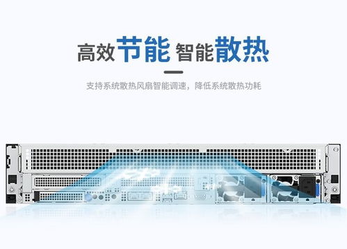 浪潮CS5260H2服務(wù)器 搭載海光5380處理器，高性能存儲(chǔ)配置，網(wǎng)絡(luò)技術(shù)服務(wù)方案解析